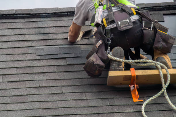 Best Chimney Flashing Repair  in Middleport, OH
