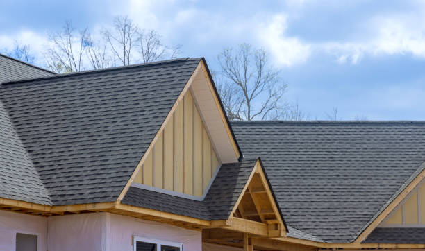 Best Roof Insulation Installation  in Middleport, OH