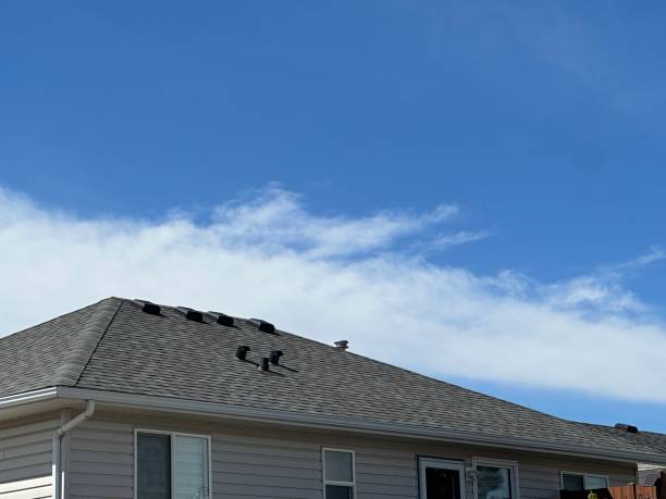 Best Cold Roofs  in Middleport, OH